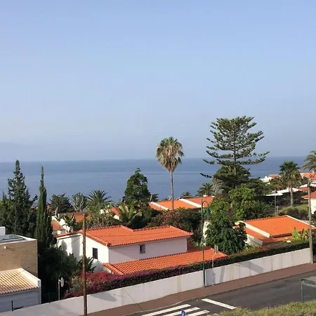 Madeira Mero Canico (Madeira)